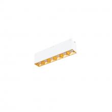 WAC US R1GDL06-F927-GL - Multi Stealth Downlight Trimless 6 Cell