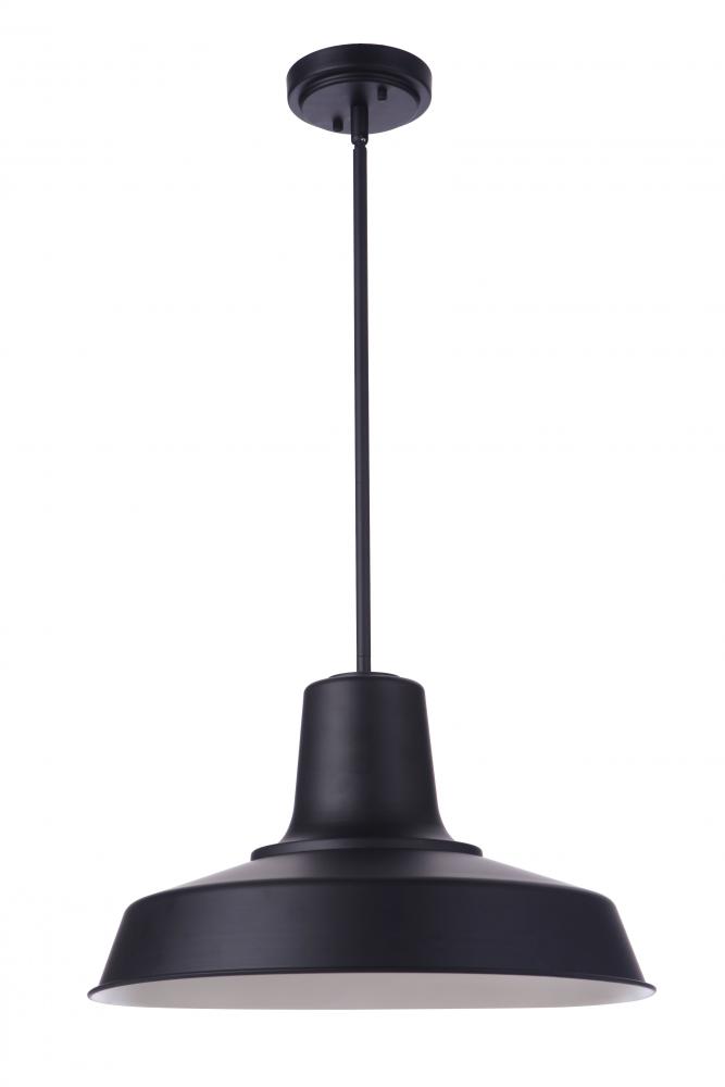 Briscoe 1 Light 18" Outdoor Pendant in Midnight