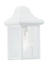 Generation Lighting 8588-15 - Mullberry Hill traditional 1-light outdoor exterior wall lantern sconce in white finish with clear b