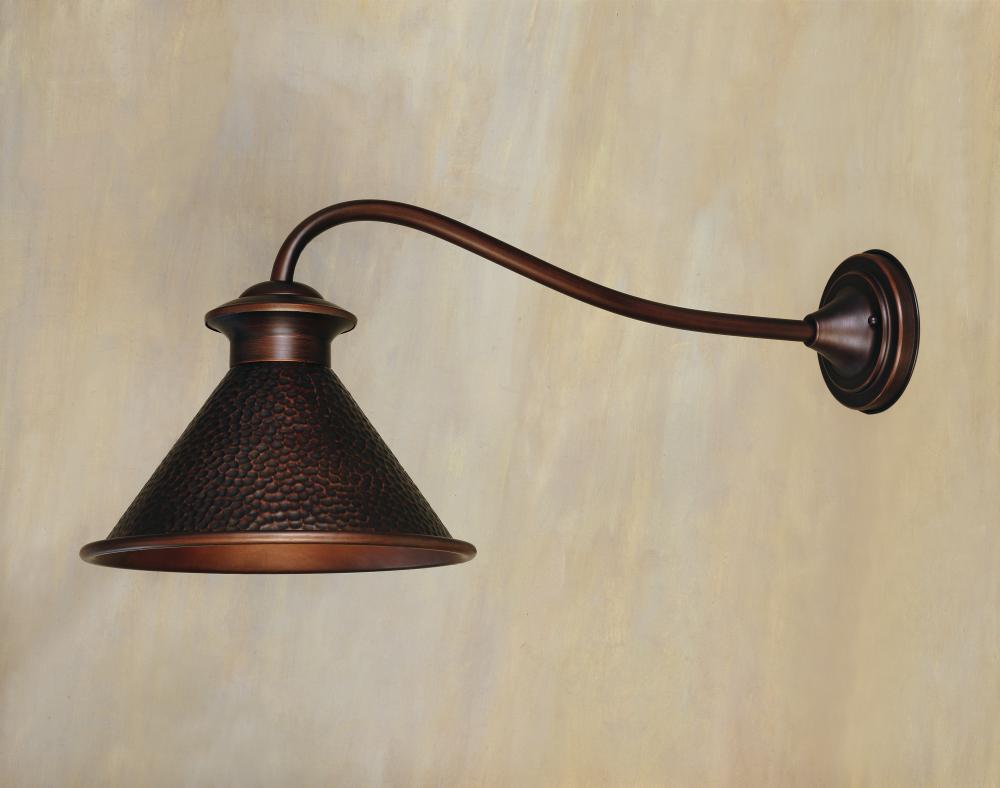 Dark Sky Essen 1-Light Outdoor Antique Copper Long Arm Wall Lamp