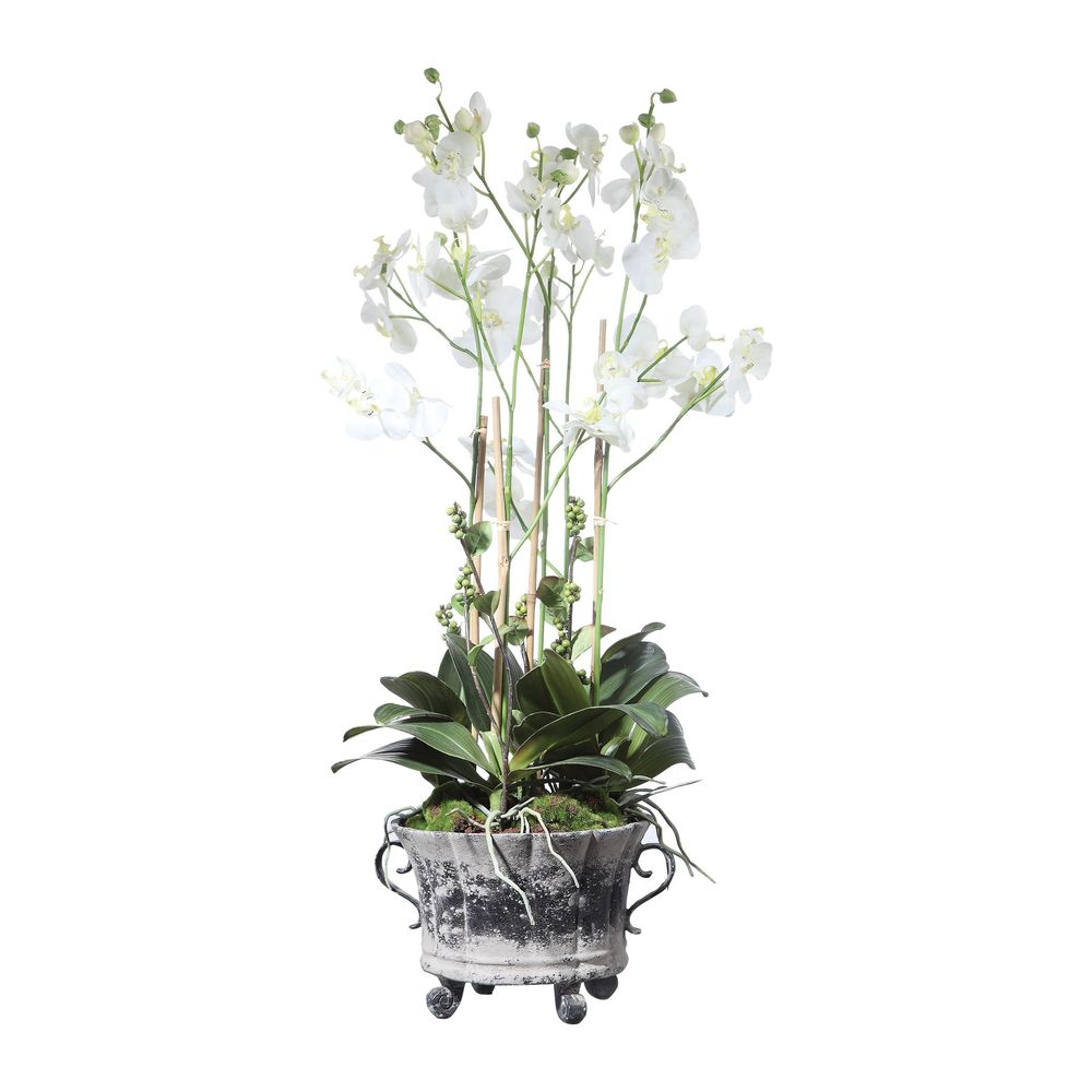 Uttermost Neruda Potted Orchid