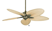 Fanimation FP7500AB - Windpointe - 52 inch-AB with with N Narrow Oval Blades